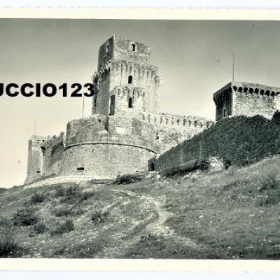 Assisi Bzz 36
