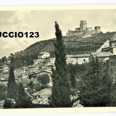 Assisi Bzz 37