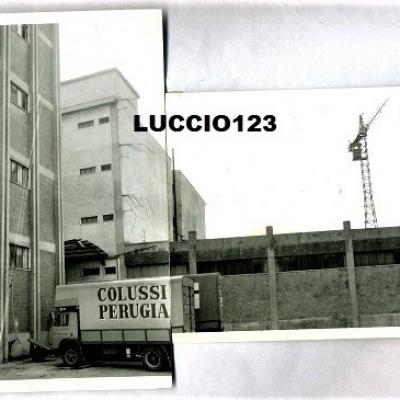 Petrignano Colussi 8